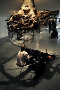 Suspended Tree Root Installations Image 3