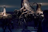 Suspended Tree Root Installations Image 4