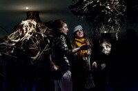 Suspended Tree Root Installations Image 5