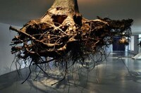 Suspended Tree Root Installations Image 6
