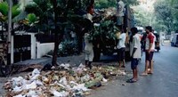 Decentralized Waste Management Solutions