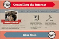 Anti-Government Rebel Infographics Image 2