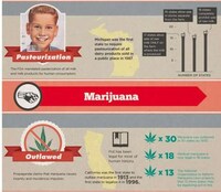 Anti-Government Rebel Infographics Image 3