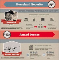 Anti-Government Rebel Infographics Image 4