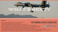 Anti-Government Rebel Infographics Image 5