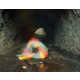 Psychedelic Cave Photos Image 5