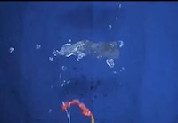 Weightless Water Balloon Experiments Image 4