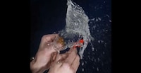 Weightless Water Balloon Experiments Image 5
