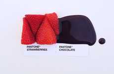 Edible Color Swatch Photography