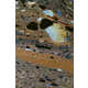 Switched Perspective Nature Pictures Image 2