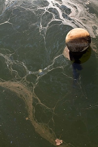 Switched Perspective Nature Pictures Image 6