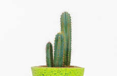 Vibrant Spongy Vases