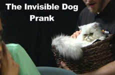Invisible Dog Pranks