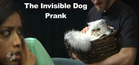 Invisible Dog Pranks