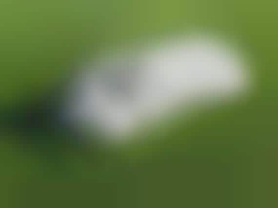 Hiding Hippo Lawn Ornaments