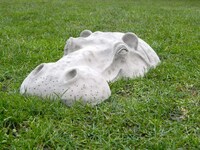 Hiding Hippo Lawn Ornaments Image 5
