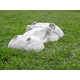 Hiding Hippo Lawn Ornaments Image 5