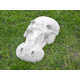 Hiding Hippo Lawn Ornaments Image 6