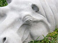 Hiding Hippo Lawn Ornaments Image 7