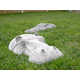 Hiding Hippo Lawn Ornaments Image 8