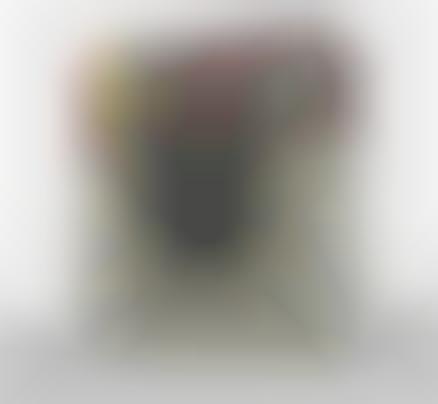 Social Media-Inspired Cameras