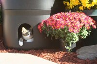 Outdoor Feline Sancutaries Image 6