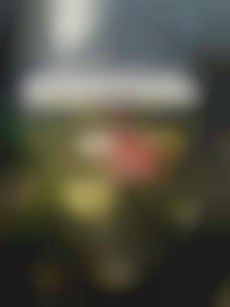 Couture Street Vendors