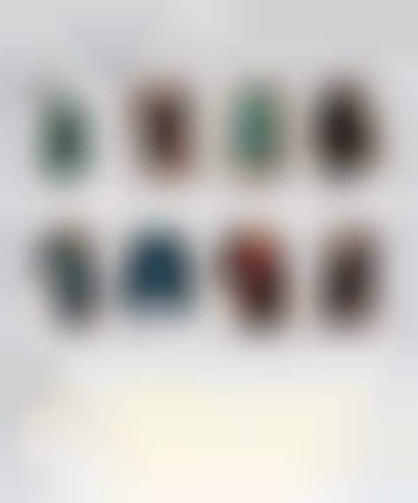 Fashionable Vanguard E-commerce
