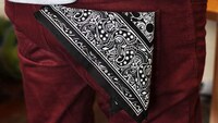 Elegant Pizza Bandanas Image 4