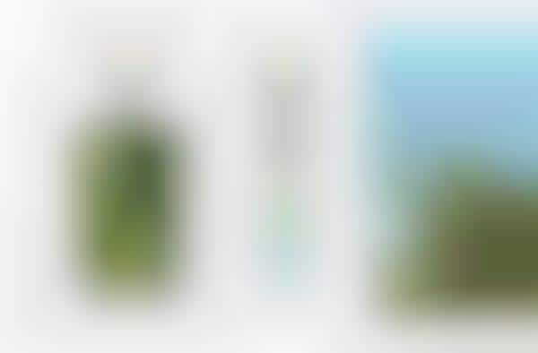 Landscape-Loving Branding