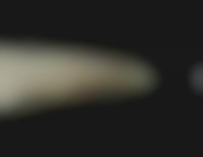 Zoomed-In Predator Ads