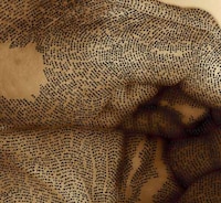 Biblical Bodily Artwork Image 5