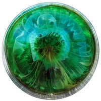 Vibrant Bacteria-Like Paintings Image 3