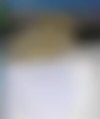 Single Feline Dating Sites Image 1