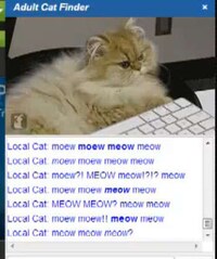 Single Feline Dating Sites
