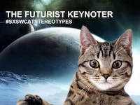 Feline Festival Memes Image 2