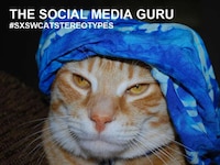 Feline Festival Memes Image 6