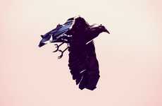 Soaring Crow Video Installations