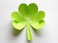 DIY St.Patty’s Decorating Image 4