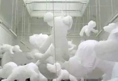 Suspended Canine Exhibits