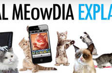 Kitten Social Media Infographics
