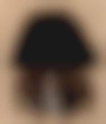 Hairy Pet Depictions