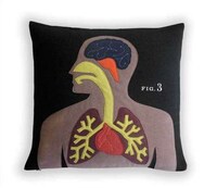 Anatomical Accent Pillows