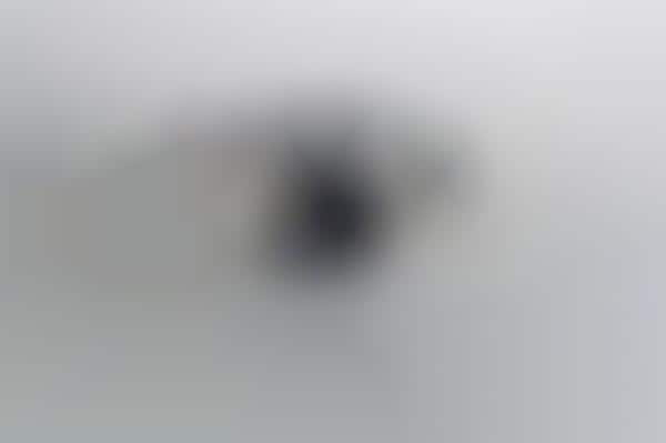 Exclusive Monochromatic Cameras