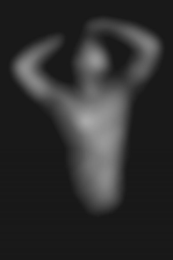 Suggestive Geometry-Infused Portraits