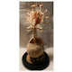 Bizarre Alien Carcass Decor Image 2