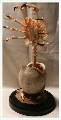Bizarre Alien Carcass Decor Image 3