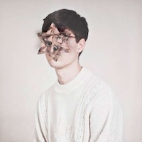 Geometrically-Distorted Portraits Image 7