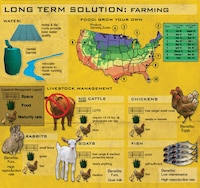 Doomsday Survival Infographics  Image 2