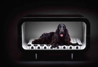 Contemporary Pet Furnishings Image 3